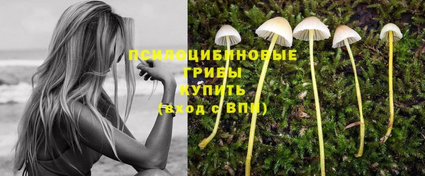 соль ск Абаза