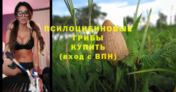 винт Абинск