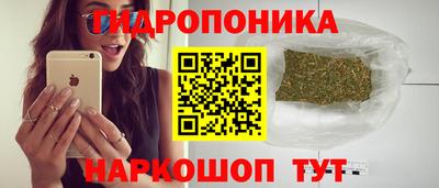 таблы Новодвинск