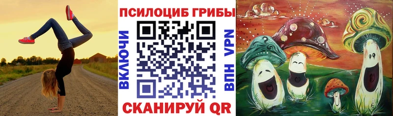 Галлюциногенные грибы Cubensis  магазин  наркотиков  Электросталь 