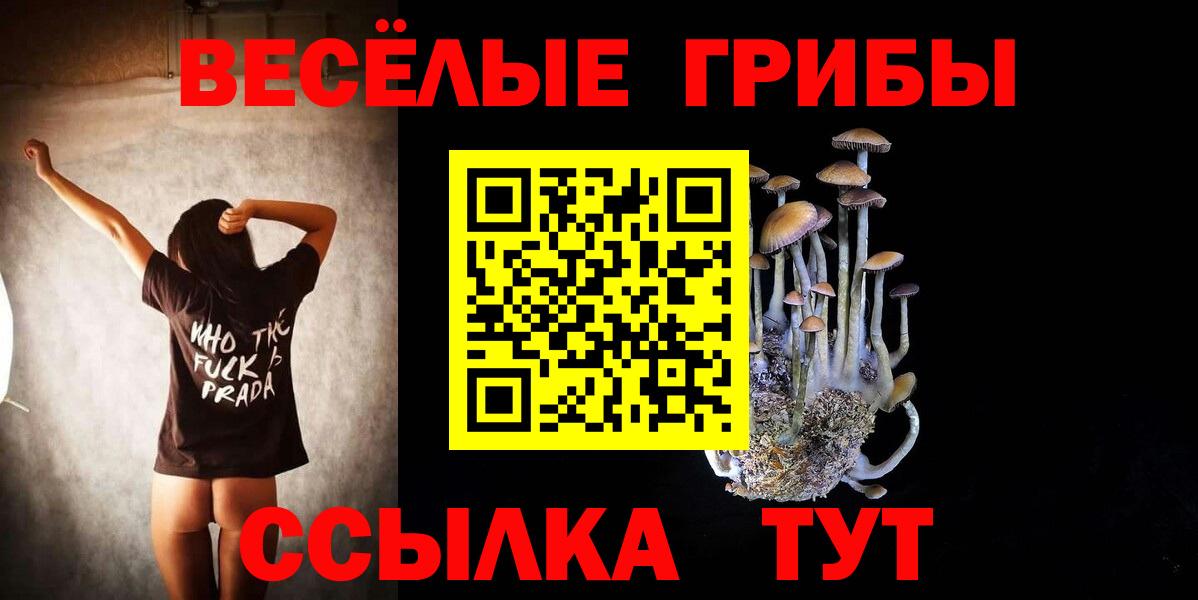 Электросталь  Галлюциногенные грибы MAGIC MUSHROOMS  Вход с VPN  Псилоцибиновые грибы GOLDEN TEACHER 